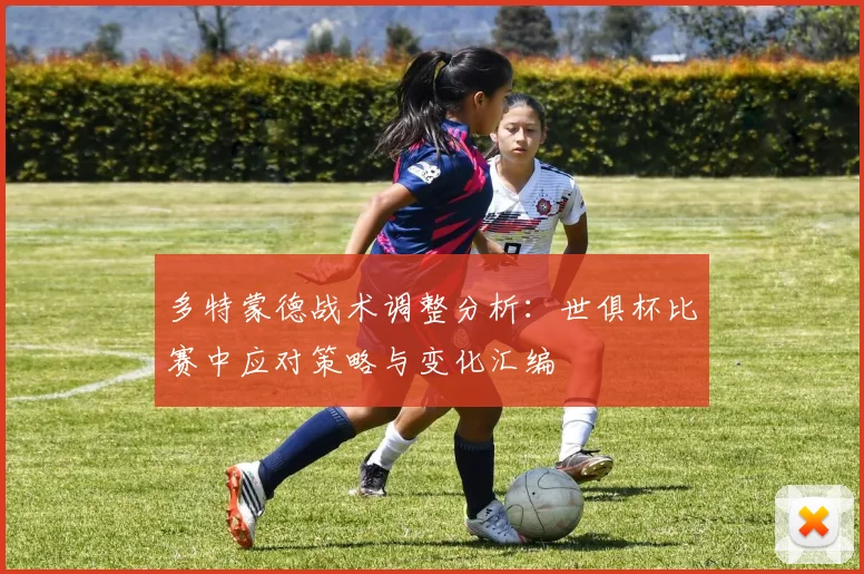 多特蒙德战术调整分析：世俱杯比赛中应对策略与变化汇编