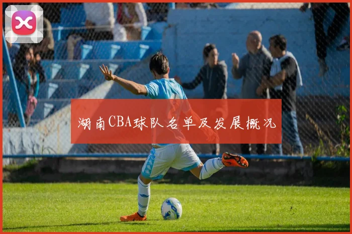 湖南CBA球队名单及发展概况
