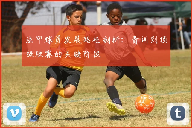法甲球员发展路径剖析:青训到顶级联赛的关键阶段
