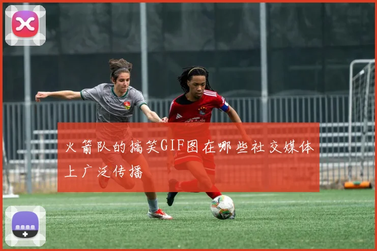 火箭队的搞笑GIF图在哪些社交媒体上广泛传播
